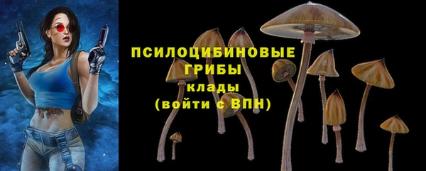 прущие крисы Балахна