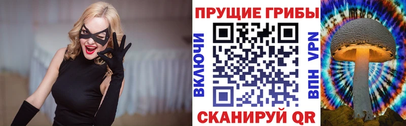 OMG маркетплейс дарнет шоп Котельниково Псилоцибиновые грибы мухоморы